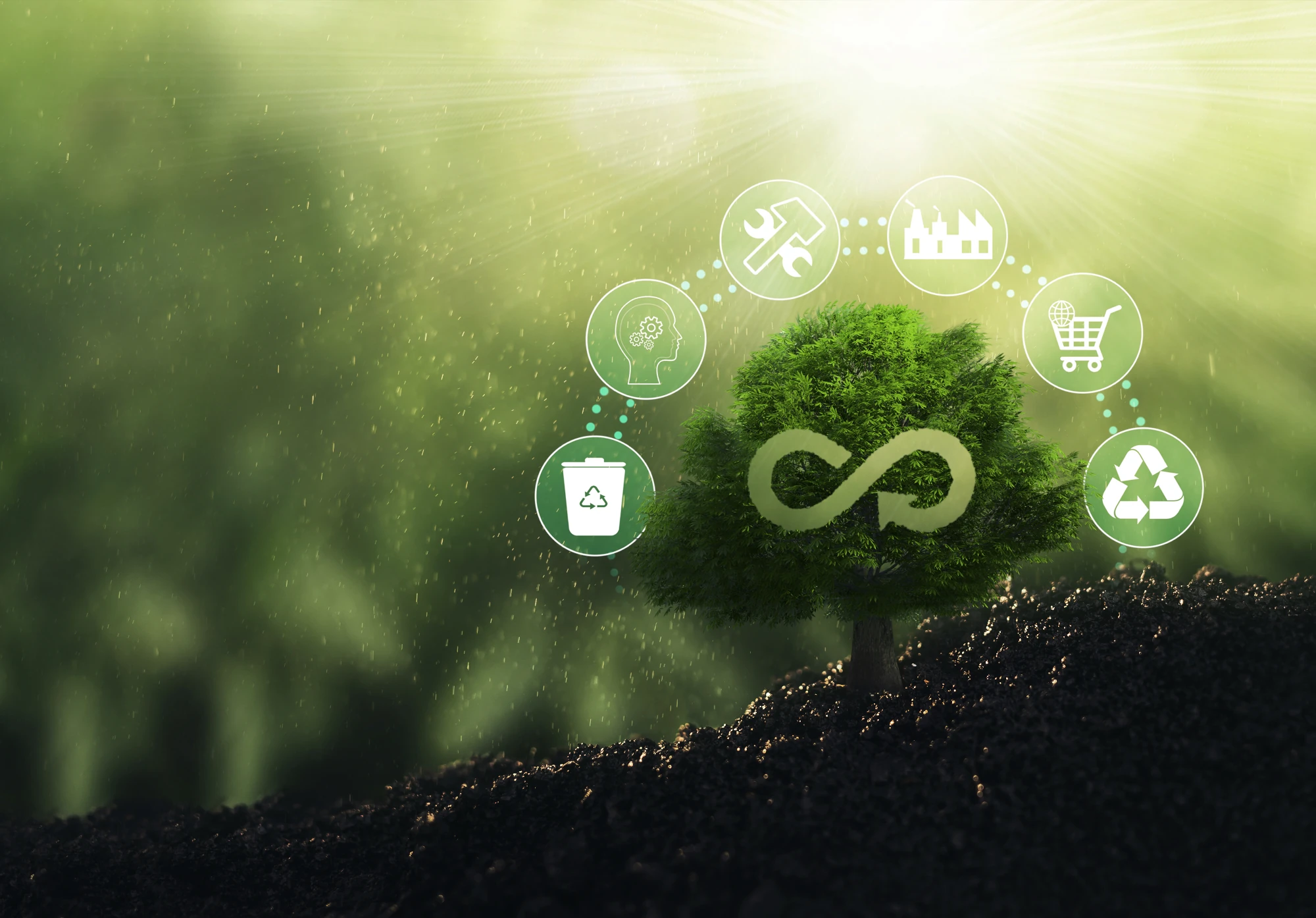 Header - Circular Economy