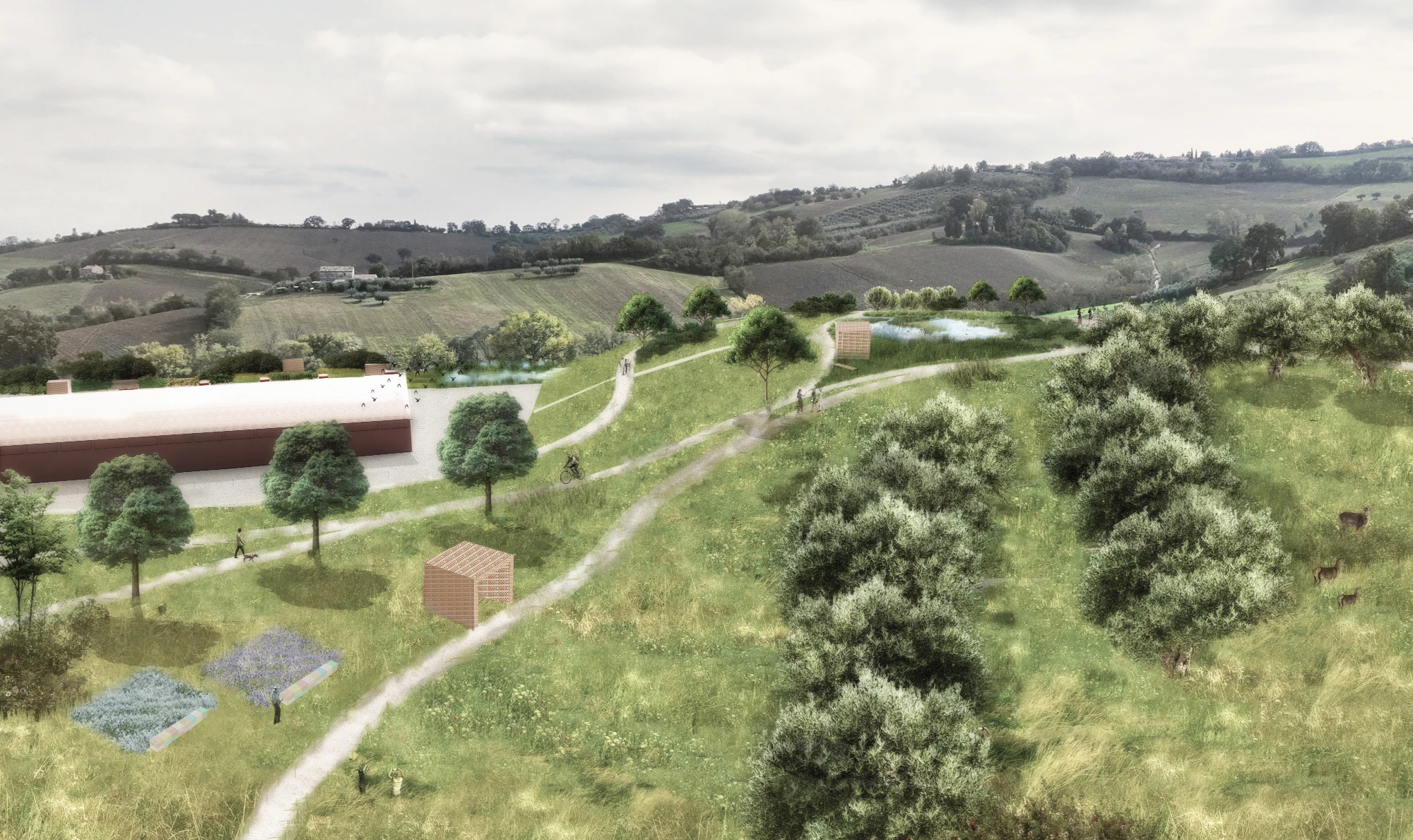 Vista 2 collina